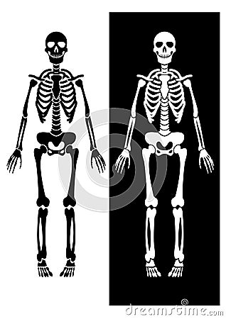 scheletro-in-bianco-e-nero-thumb3146751.jpg
